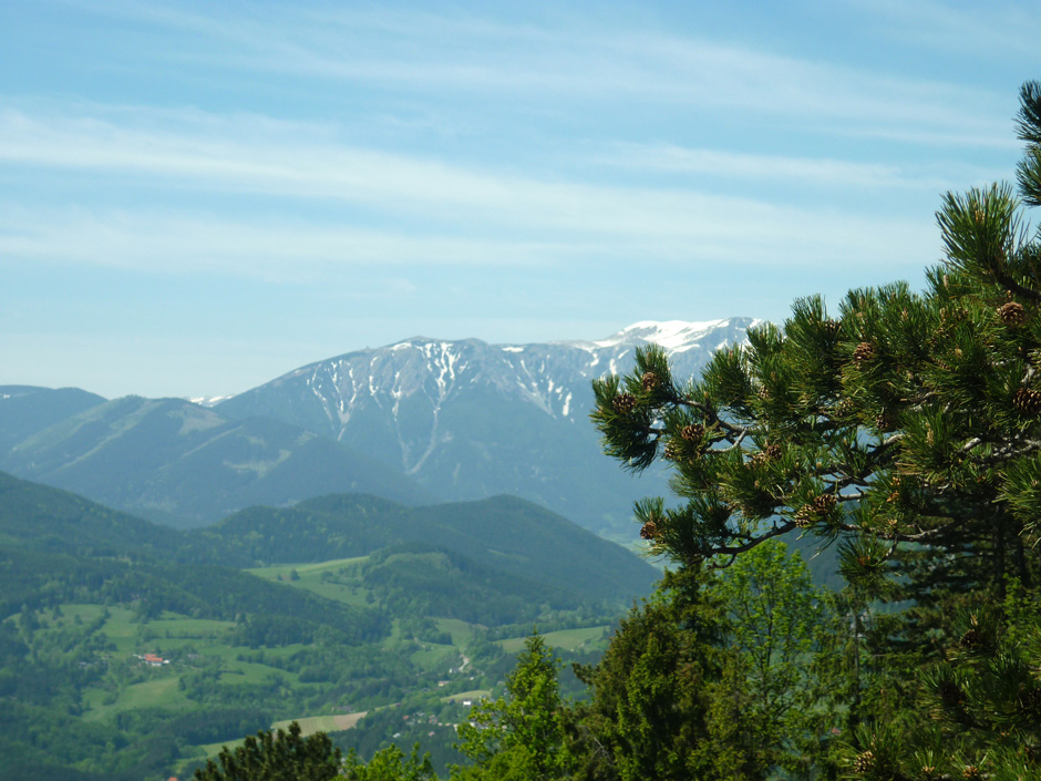 Blick Richtung Schneeberg