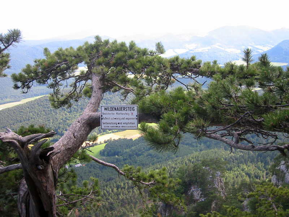 Tafel Wildenauerstaig, gesicherter Klettersteig (D)
