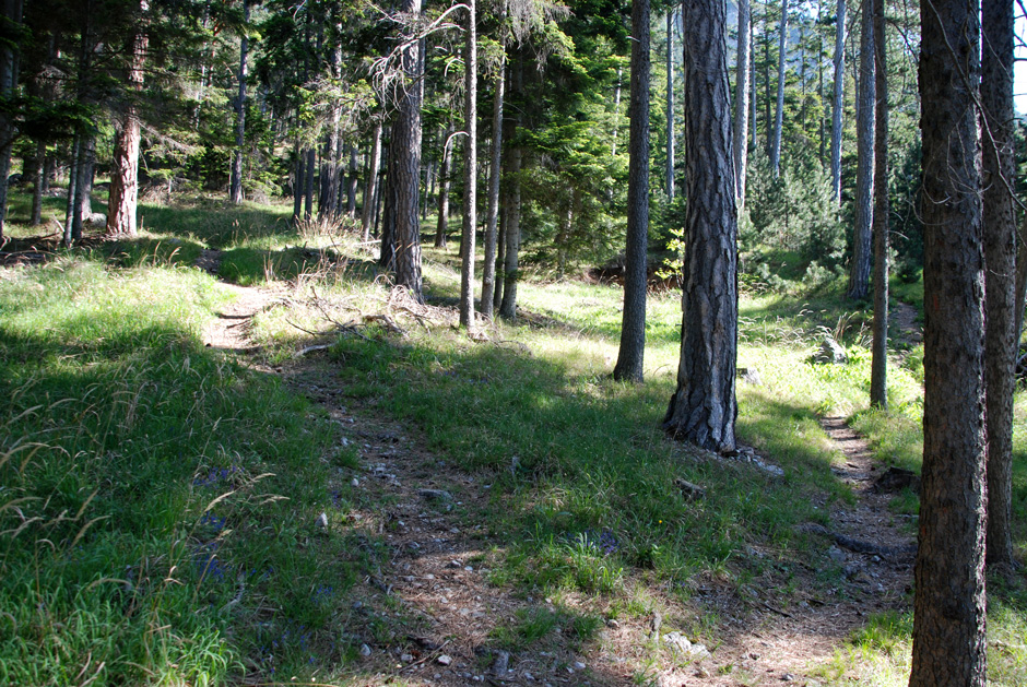 Links und Rechts führen zum Wandfußsteig