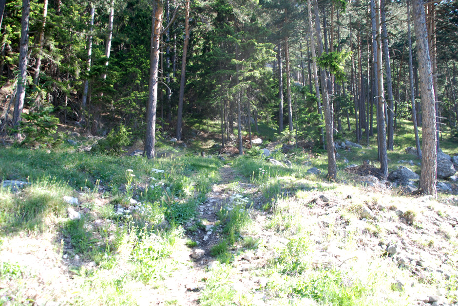 Rot markierter Wanderweg zum Wandfußsteig
