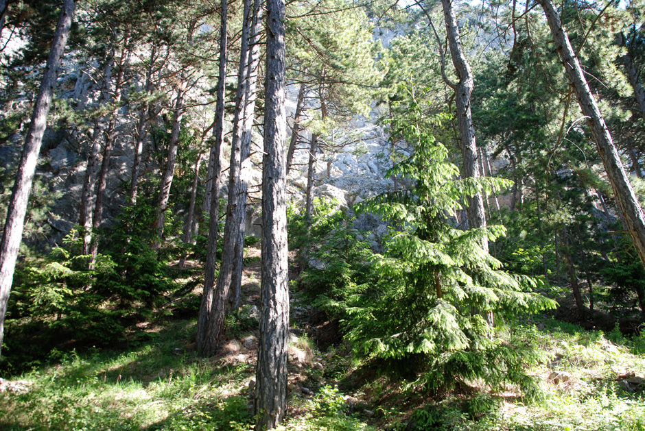Rot markierter Wanderweg zum Wandfußsteig