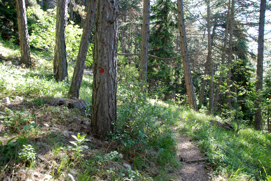 Rot markierter Wanderweg zum Wandfußsteig