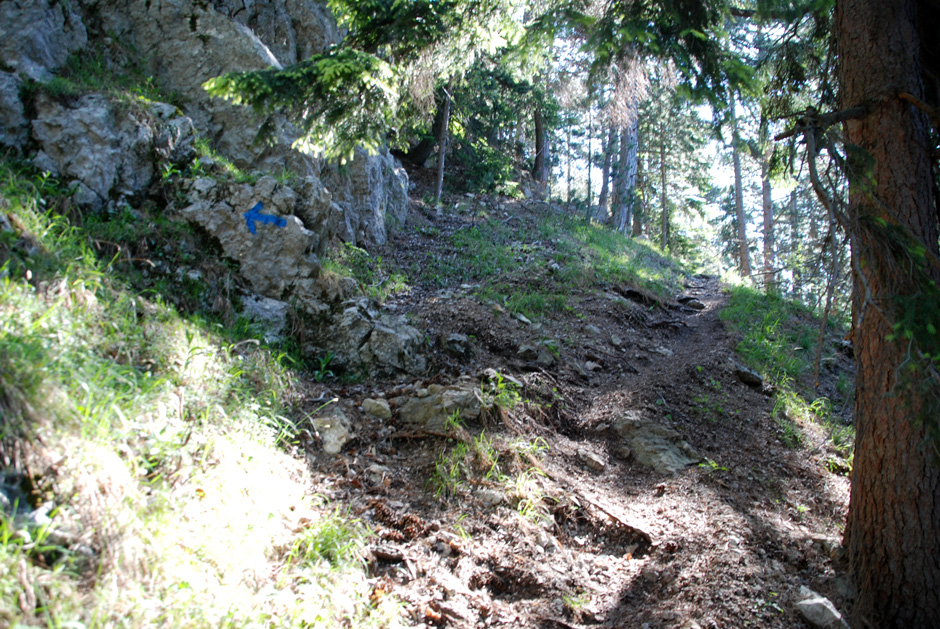 Rechts den blau markierten Wandfußsteig