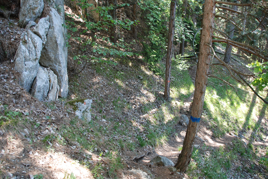 Blau markierter Wandfußsteig