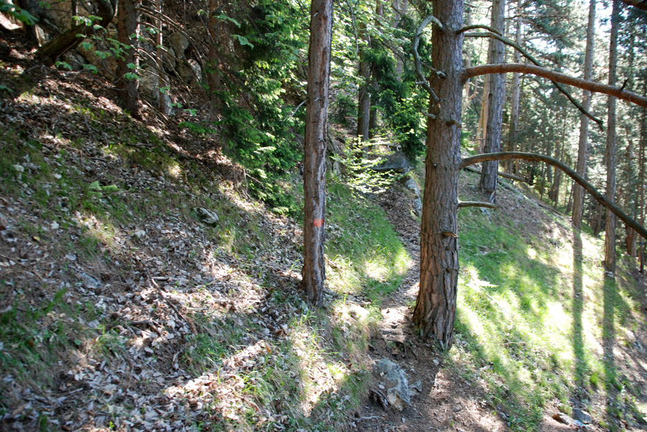 Blau markierter Wandfußsteig