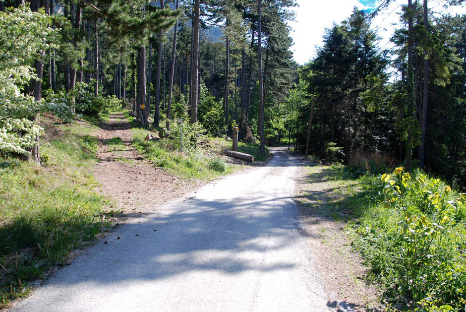 links Grafenberweg, rechts Seiser Toni 