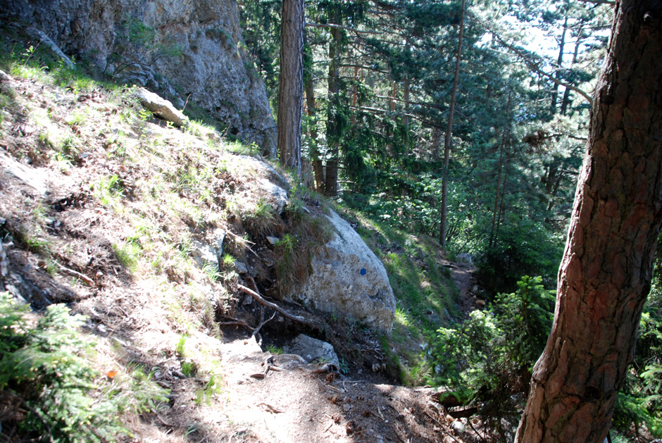 Blau markierter Wandfußsteig