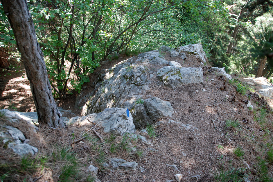 Blau markierter Wandfußsteig