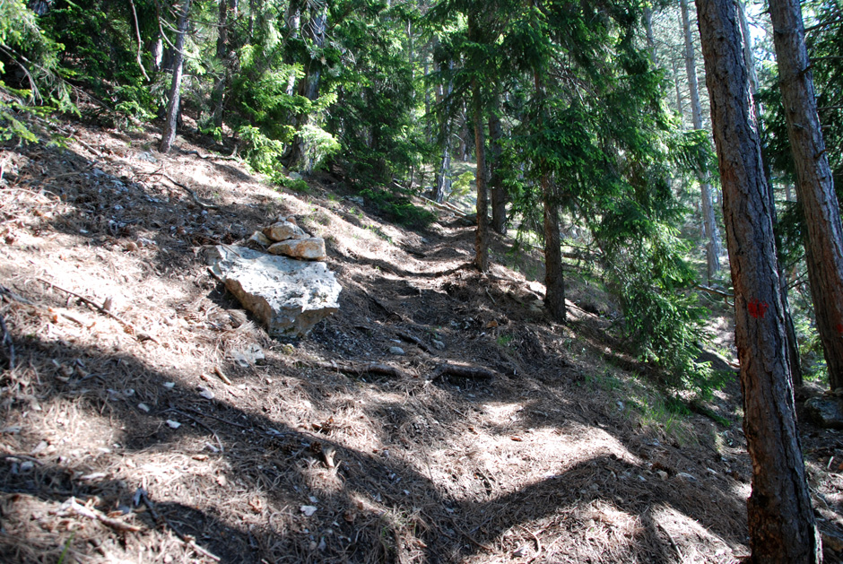 Rot markierter Wanderweg zum Wildenauersteig mit Steinmanderl