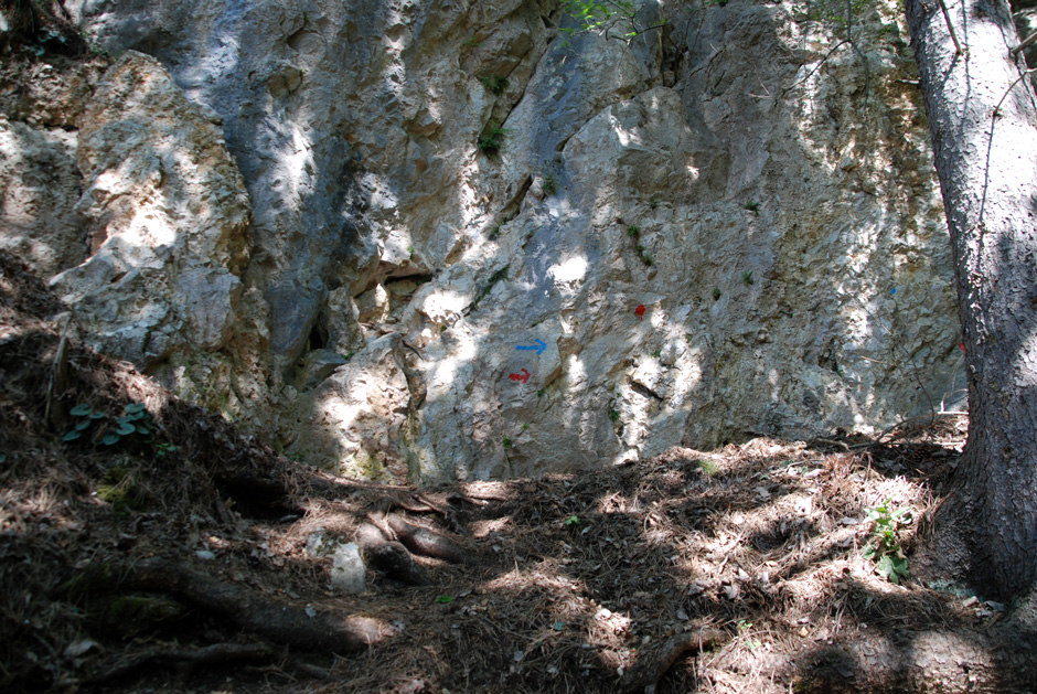 Rot und zum Teil blau markierter Weg zum Wildenauersteig