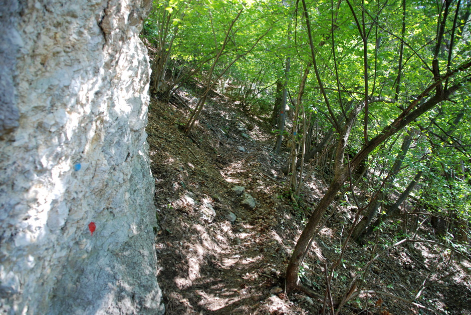 Rot und zum Teil blau markierter Weg zum Wildenauersteig