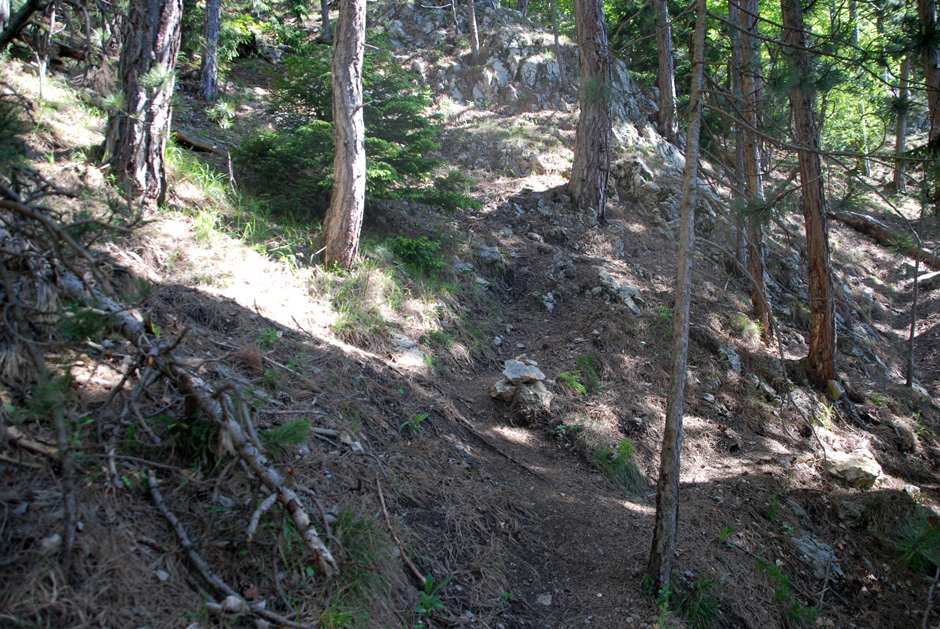 Mit Steinmanderl markierter Weg zum Wildenauersteig 