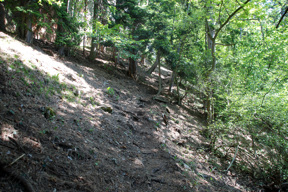 Wanderweg zum Wildenauersteig