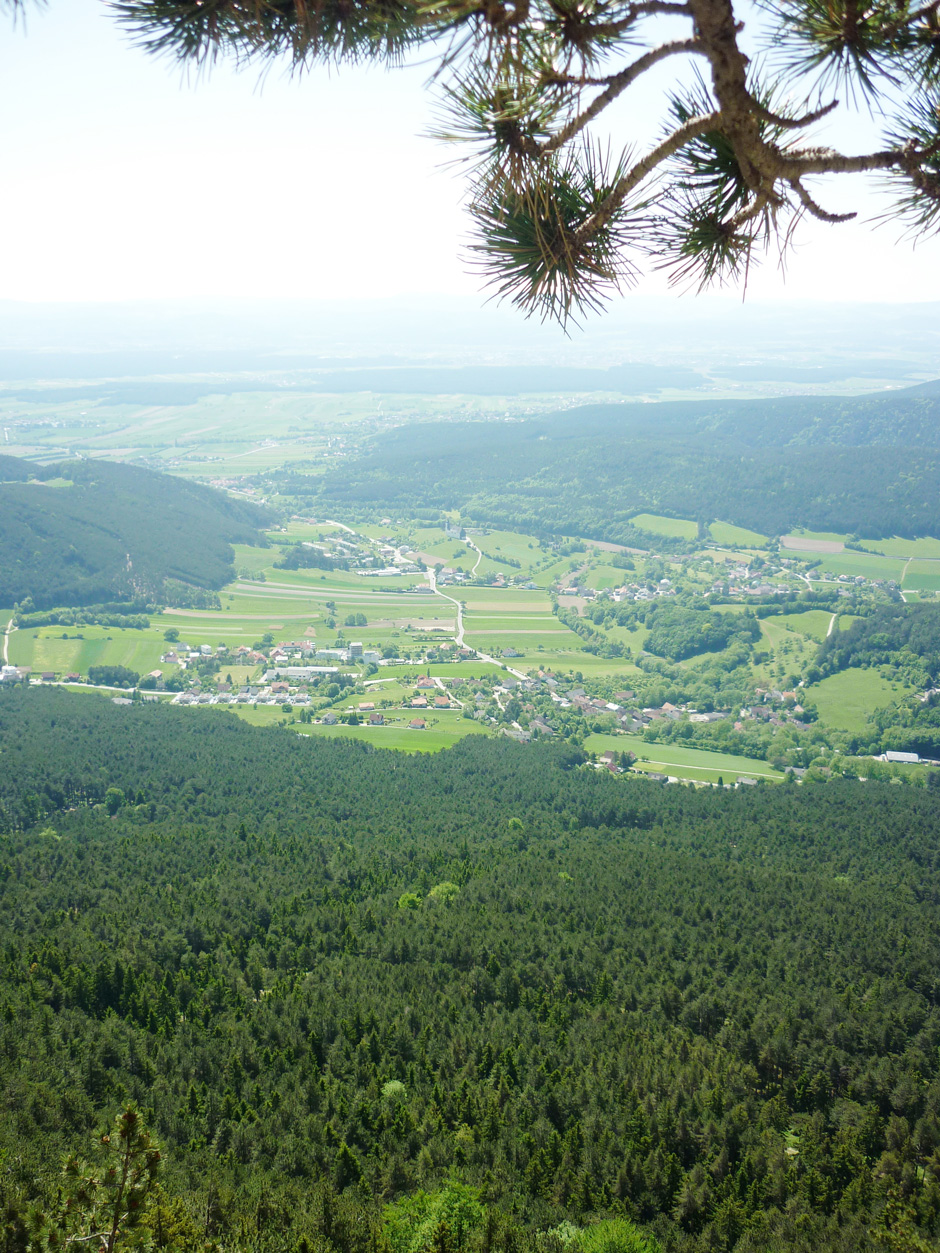 Ausblick vom Wildenauersteig