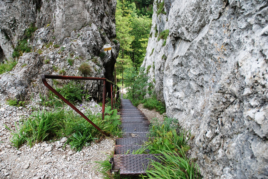 Schönbrunnerstiege