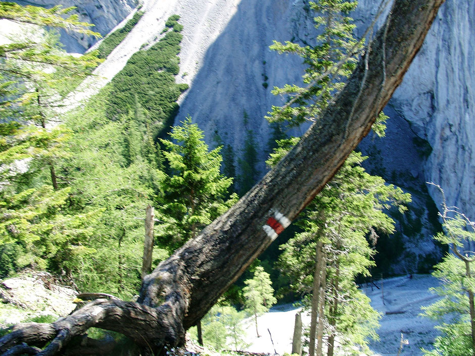 Bärenlochsteig gestufte Rinne (1-)