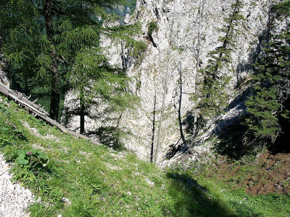 Bärenlochsteig gestufte Rinne (1-)