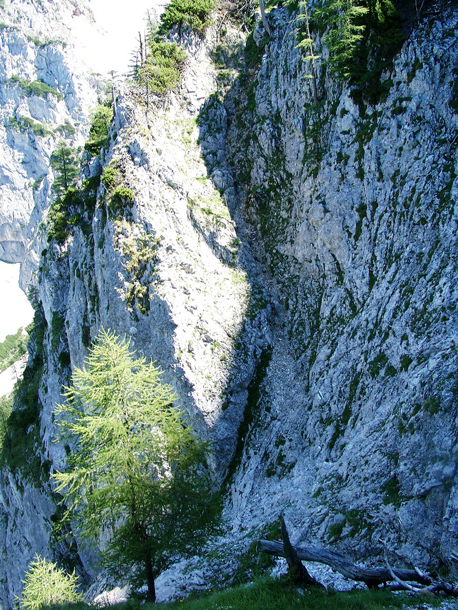 Bärenlochsteig Turm (B)