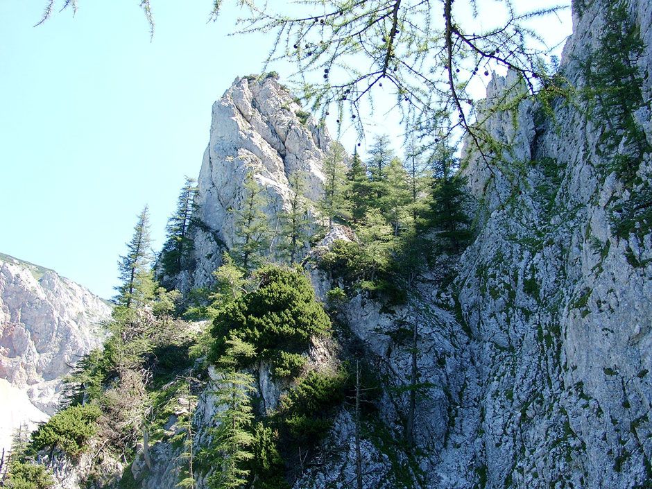 Bärenlochsteig Turm (B)