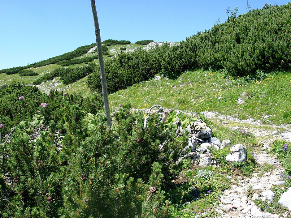 Bärenlochsteig Weg zum Habsburghaus