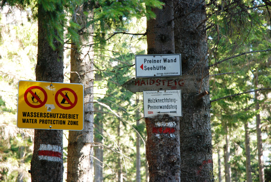 Waldweg zu den Klettersteigen