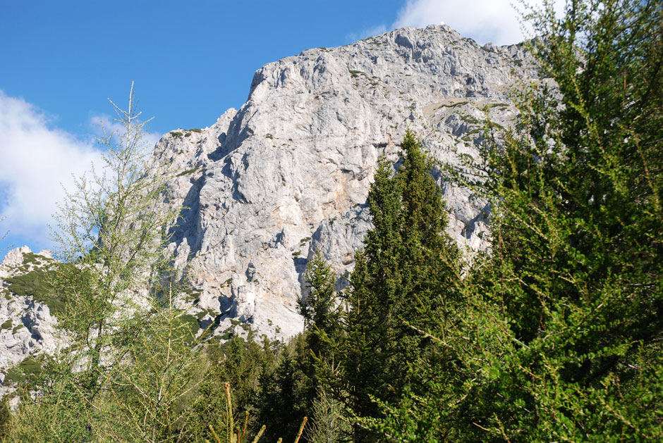 Waldweg zu den Klettersteigen