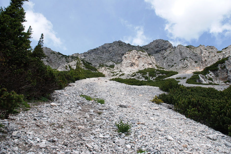 Latschenweg zum Preinerwandsteig