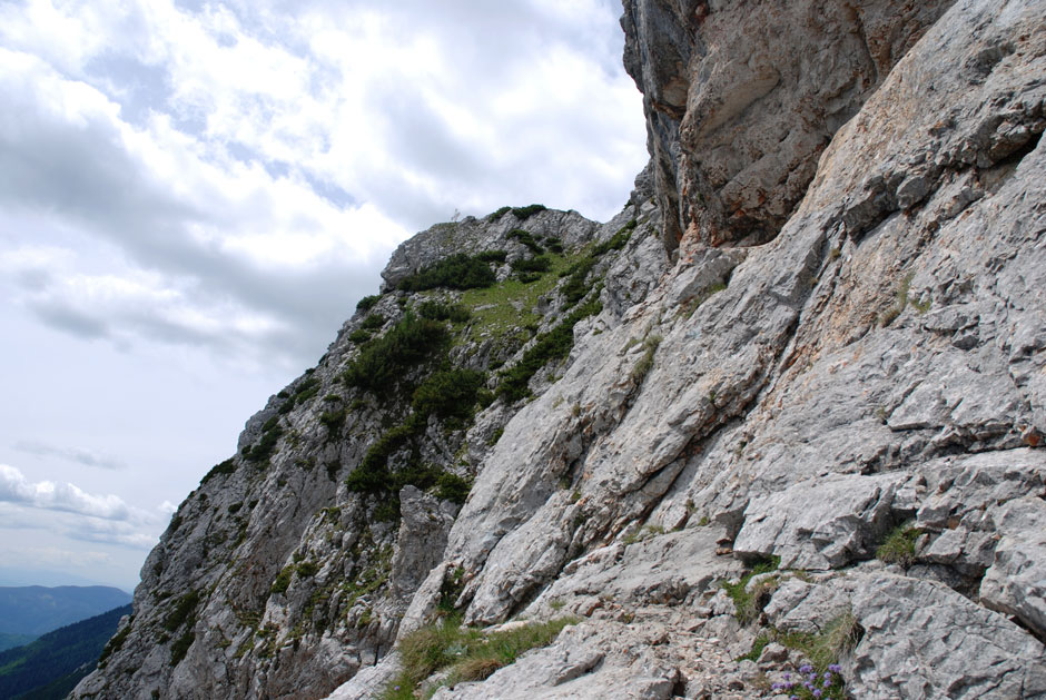 Preinerwandgipfel vom Aufstieg zum Raxplateau