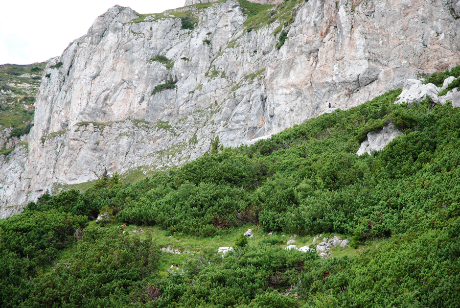 Raxmäuer, links vom Reißtalersteig