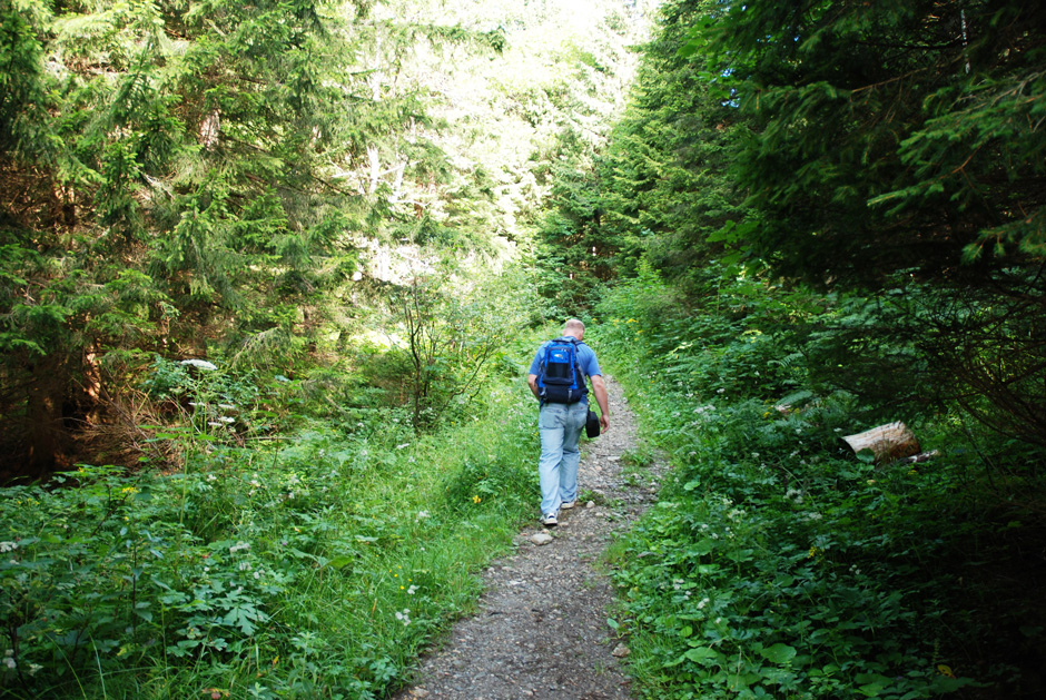 Martin; Reißtalersteig, Zustieg