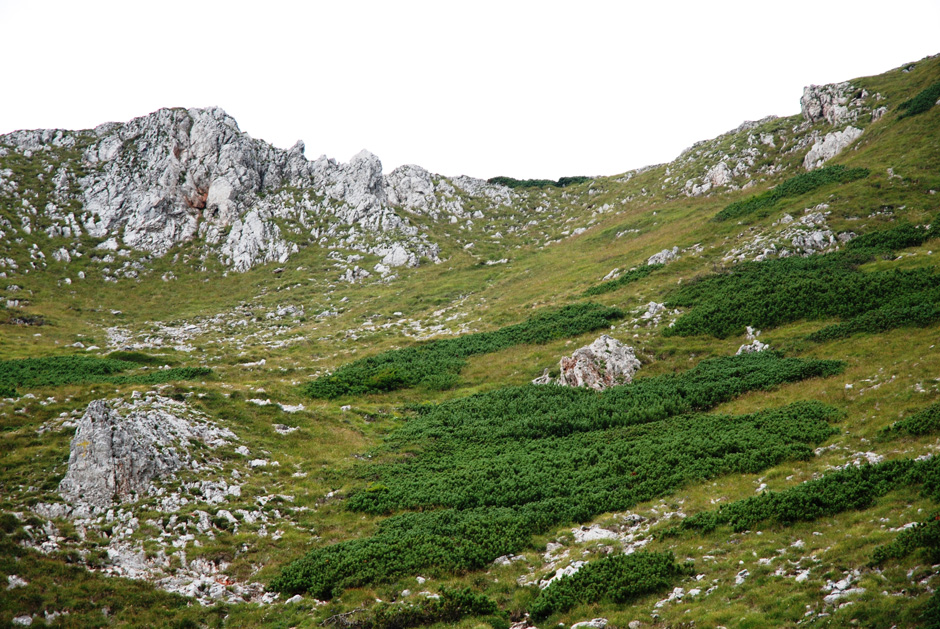 Reißtalersteig, Ausstiegsbereich (Gehweg)