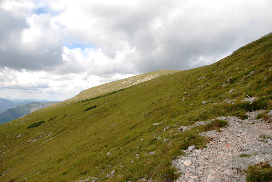 Heukuppe in Sicht