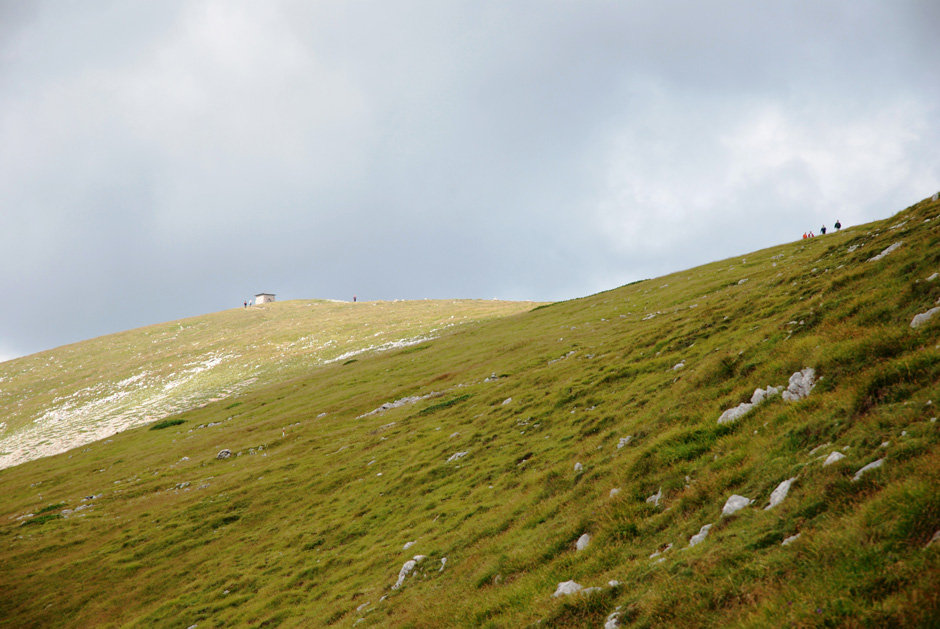 Heukuppe in Sicht