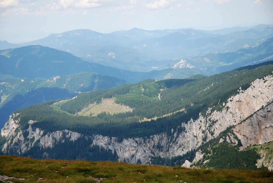 Heukuppe, Scheibwaldmauer