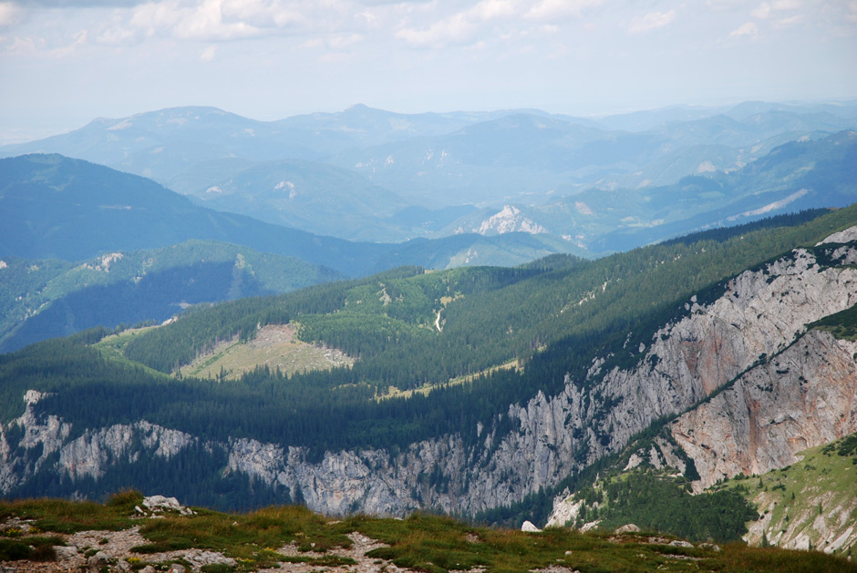 Heukuppe, Scheibwaldmauer