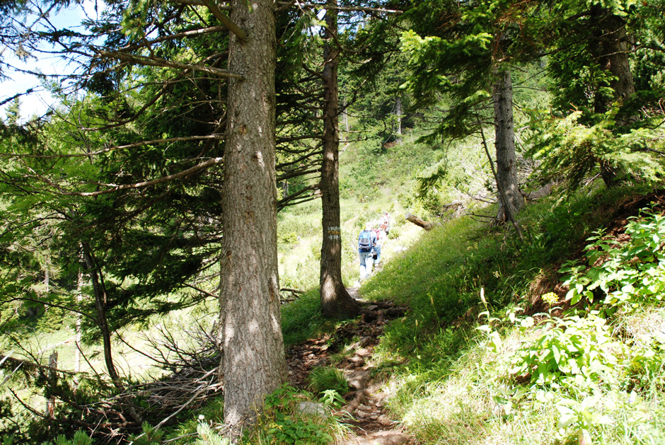 Reißtalersteig, Zustieg