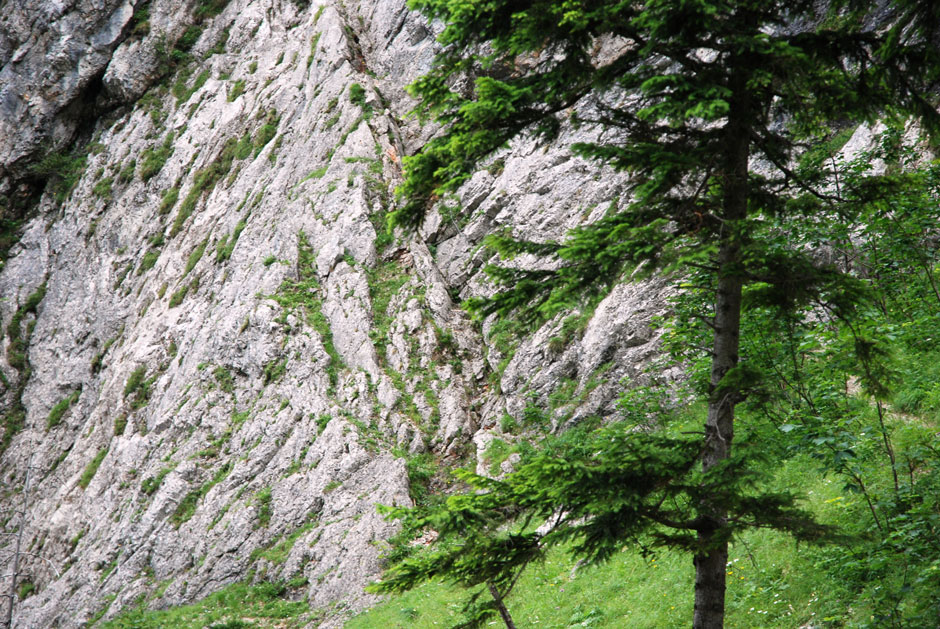 Teufelsbadstubensteig, Einstieg