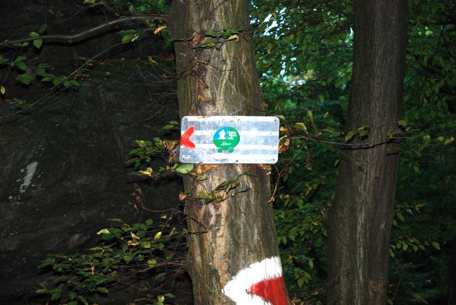 Abzweigung links Vogelbergsteig