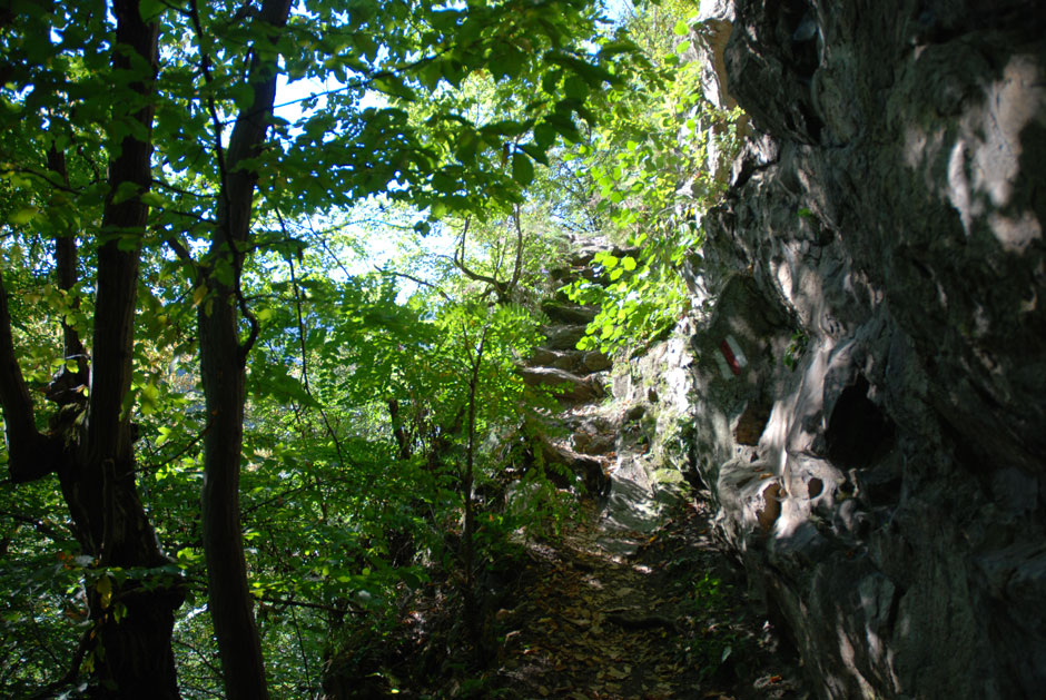 Vogelbergsteig, Gehweg