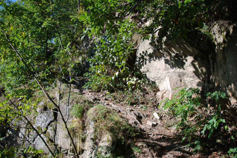 Vogelbergsteig, Gehweg