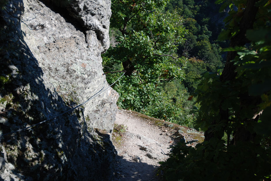 Vogelbergsteig (A)
