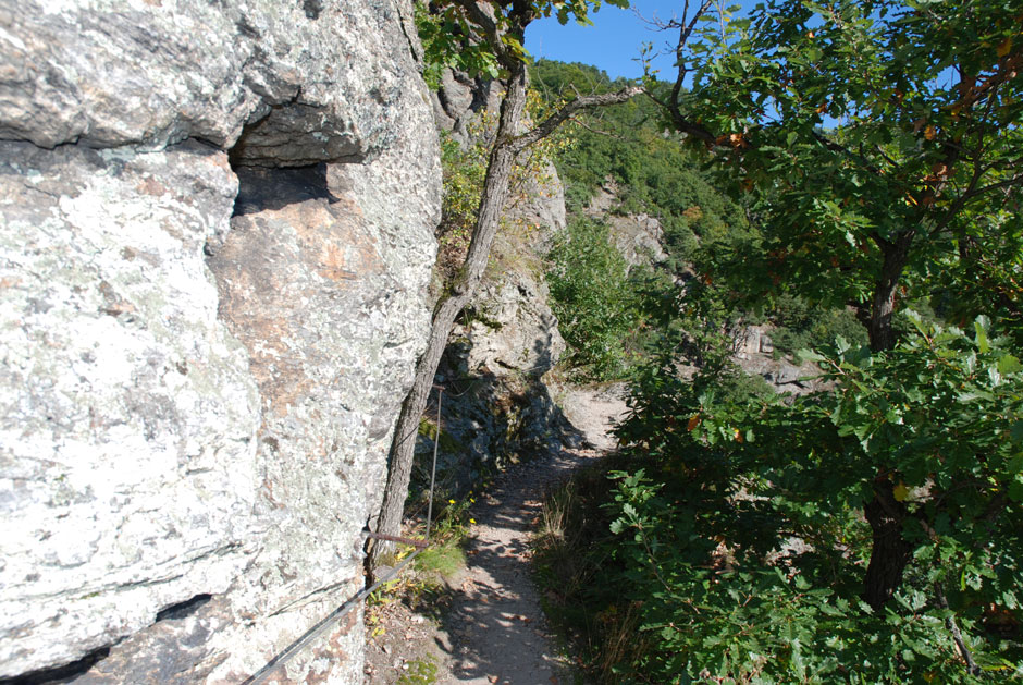 Vogelbergsteig (A)