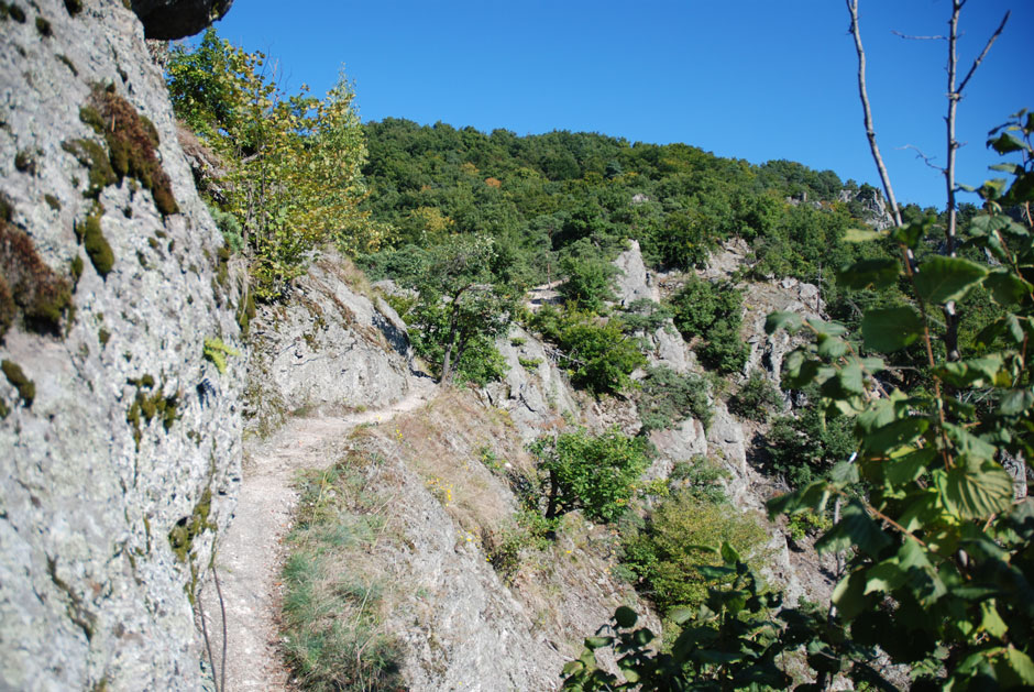 Vogelbergsteig (A)