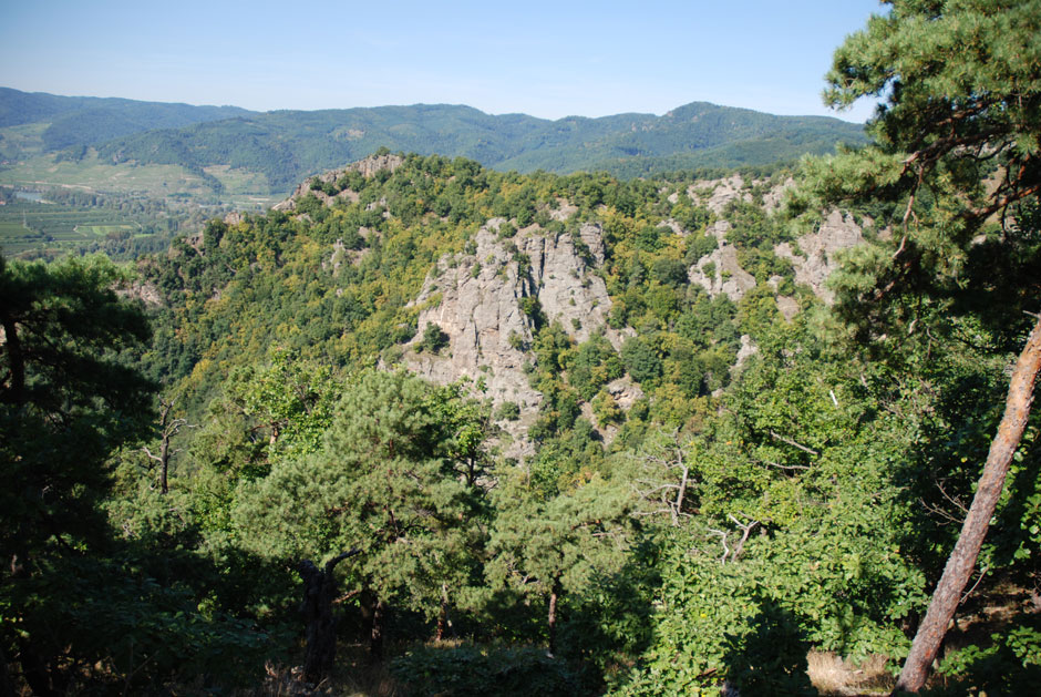 Vogelbergrücken