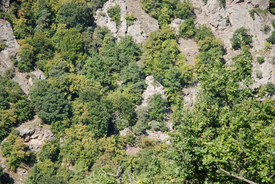 Vogelbergsteig, Gehweg
