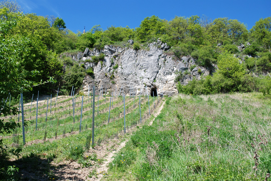 Rückblick zum Klettergarten