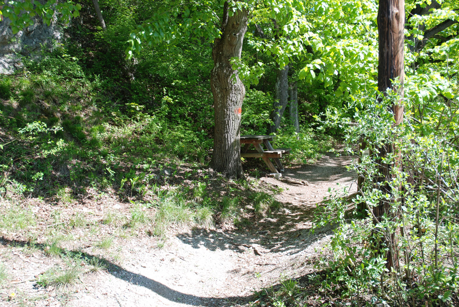 Abzeigung zum Klettergarten