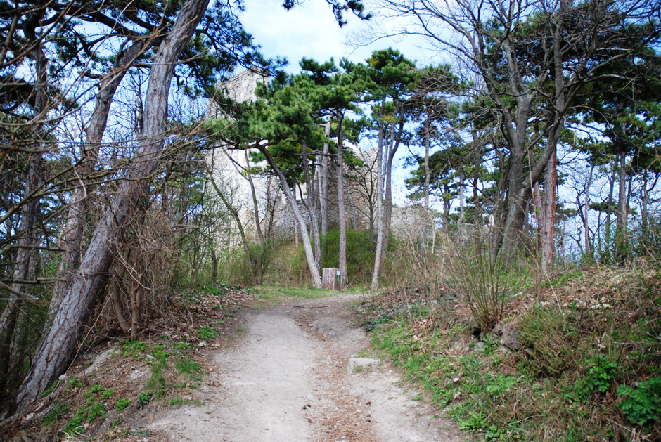 Burgruine Mödling, Zugang