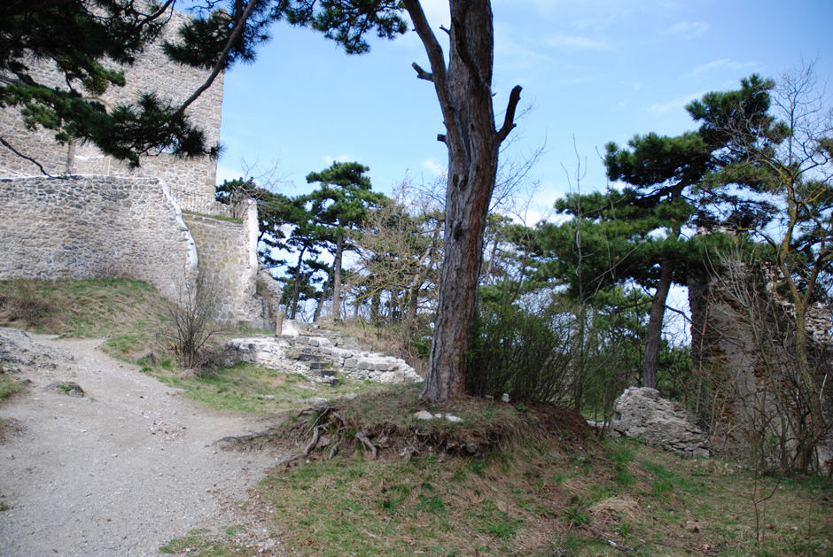 Burgruine Mödling, Innenhof