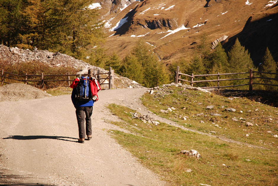 Albert, unterwegs zur Lucknerhütte